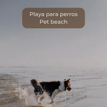 La Cotufa En El Centro De Corralejo, Dos Con Dos Banos, Terraza Privada Y Wifi Lejlighed *